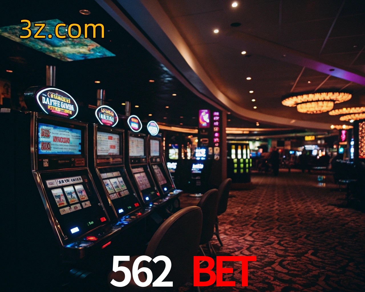 login 562 bet